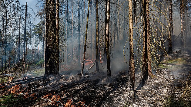 Čtrnáct jednotek hasičů zasahovalo v pátek večer u požáru lesa na Děčínsku. (18. června 2021)