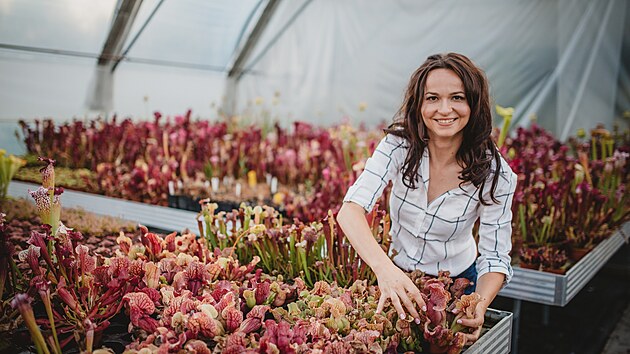 Sběratelka a pěstitelka Markéta Aubrechtová na výstavě Živé pasti nabídne zájemcům o pěstování masožravých rostlin mnohé rady.