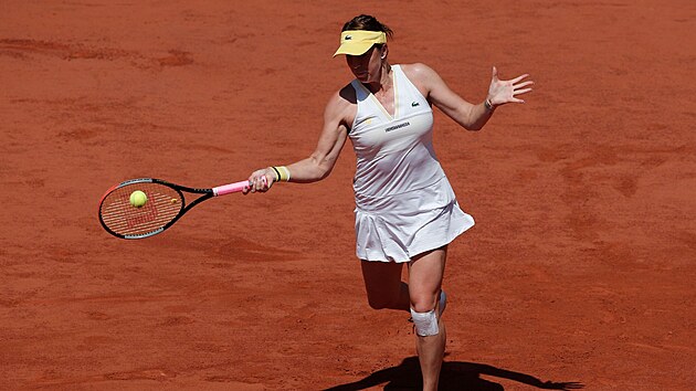 Rusk tenistka Anastasia Pavljuenkovov bhem semifinle Roland Garros