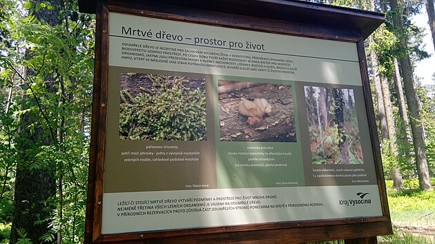 Na místa, která byla takto ošetřena, Kraj Vysočina instaloval nové informační tabule, které návštěvníkům vysvětlují význam ponechání mrtvého dřeva v přírodních památkách a rezervacích.