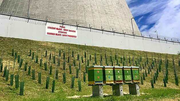 Na okraj psn steenho arelu jadern elektrrny v Dukovanech nedvno pibyla ptice l. Mstn velstva by mla vyprodukovat piblin 100 kilogram medu ron.