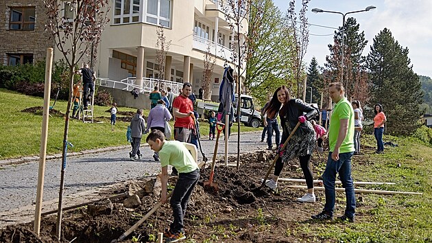 Skupinky dobrovolníků se zapojily do komunitního sázení stromů v Luhačovicích (květen 2021).