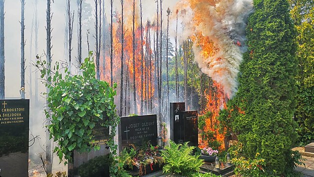 Na Vinohradském hřbitově hořely túje, náhrobky nejsou výrazně poškozeny. (16.6.2021)