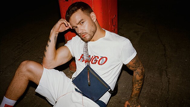 Liam Payne (2020)