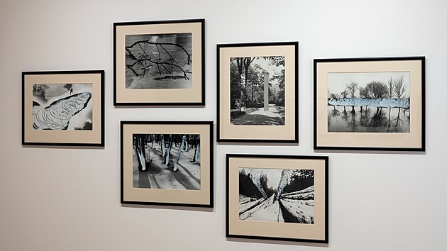 Tereza Severová v dialogu s Daliborem Chatrným, Manipulované fotografie I.-VI. (1978-1985, Galerie Klatovy Klenová), Strom uprostřed krajiny