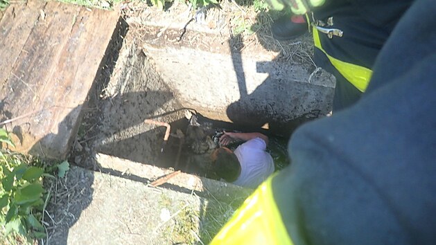Hasiči zachraňovali muže a psa z betonové vpusti.
