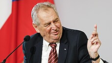 Prezident Milo Zeman pi setkání se svým rakouským protjkem Alexandrem van...