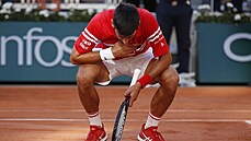Novak Djokovi� slaví vít�zství na Roland Garros.