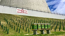 Na okraj přísně střeženého areálu jaderné elektrárny v Dukovanech nedávno...