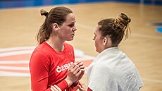 eské basketbalistky Alena Hanuová (vlevo) a Romana Hejdová
