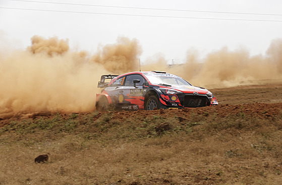 Thierry Neuville pi Safari rallye.