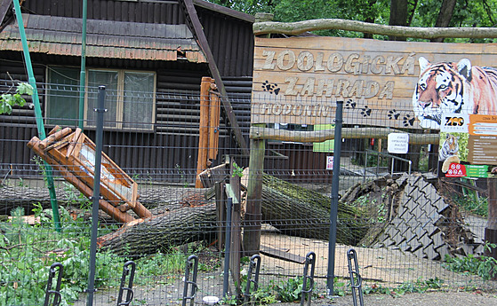 Hodonínská zoo přišla při čtvrteční bouřce o téměř celý útulek i oplocení....