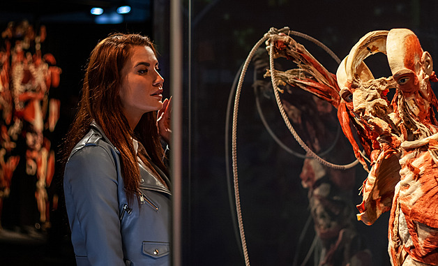 Vystavovat lidská těla? Kam až můžeme zajít, aniž bychom pošlapali pietu