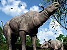 Umlecké vyobrazení obích nosoroc, ijících zhruba ped 26,5 milionu let.