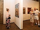 N�v�t�vn�ci v�stavy Rostislava Osi�ky v Severo�esk� galerii v�tvarn�ho um�n� v...