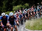 Peloton ve tvrté etap Tour de France 2021.