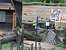 Hodonínská zoo pila pi tvrtení bouce o tém celý útulek i oplocení....