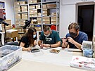 Studenti univerzity v Zadaru zkoumají nálezy, které byly objeveny pi potápní...