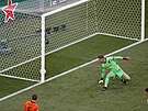 Nizozemský branká Maarten Stekelenburg se ohlíí za gólovou stelou Patrika...
