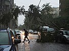 Spadlý strom po silných boukách v Moskv v Rusku zatarasil silnici. (28....