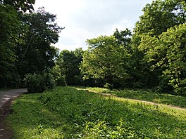 Fotografie pořízená smartphonem Xiaomi Redmi Note 10 5G