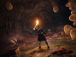 Elden Ring