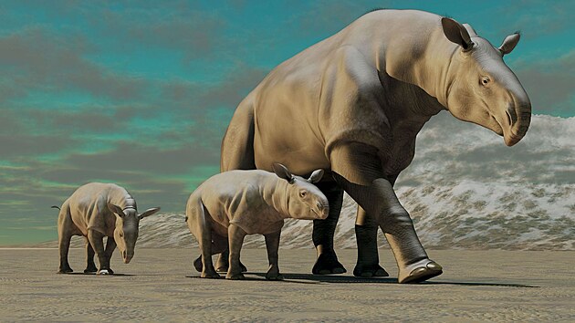 Umělecké vyobrazení obřích nosorožců, žijících zhruba před 26,5 milionu let.