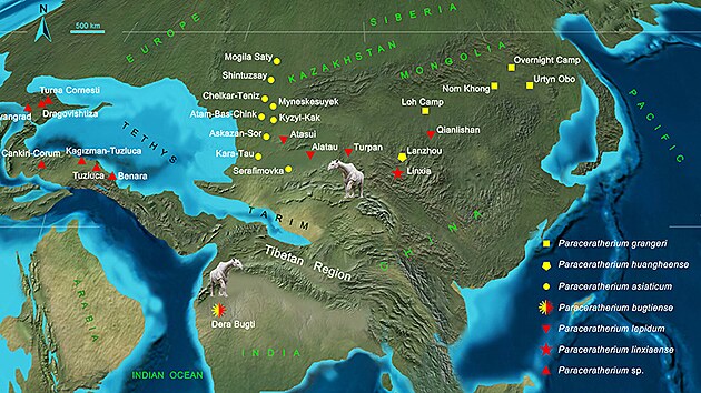 Mapa rozmístění obřích nosorožců. Žlutě jsou označené druhy ranného a červeně pozdního Oligocénu.