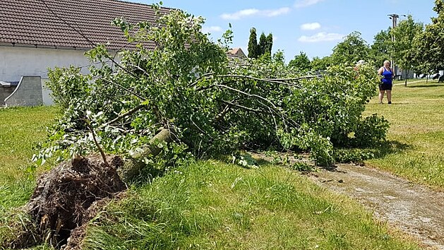 Vichr poniil v Dtni budovu, kter je soust zmeckho arelu. V obci padlo okolo 50 strom.