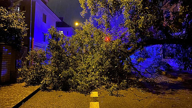 V úterý 29. června hasiči v Praze zasahovali u desítek případů v souvislosti se silným deštěm. Jedná se o popadané stromy, v některých případech čerpání vody. (29. června 2021)