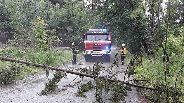 Hasiči v Jihomoravském kraji kvůli bouřkám nejčastěji vyjížděli k popadaným stromům. (21. června 2021)
