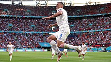 Tomá� Hole� slaví gól proti Nizozemsku.