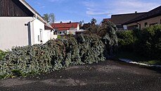 Velké kody napáchala boue také ve Stebn na Lounsku. Podle meteorolog není...