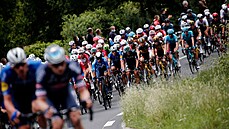 Peloton ve tvrté etap Tour de France 2021.