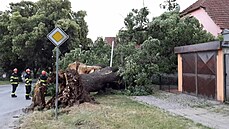 Hasii v Jihomoravském kraji kvli boukám nejastji vyjídli k popadaným...