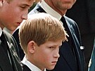 Princ William, princ Harry a princ Charles na pohbu princezny Diany (Londýn,...