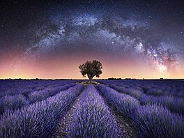 Mléčná dráha nad levandulovými poli v jižní Francii. Podle autora do snímku již...