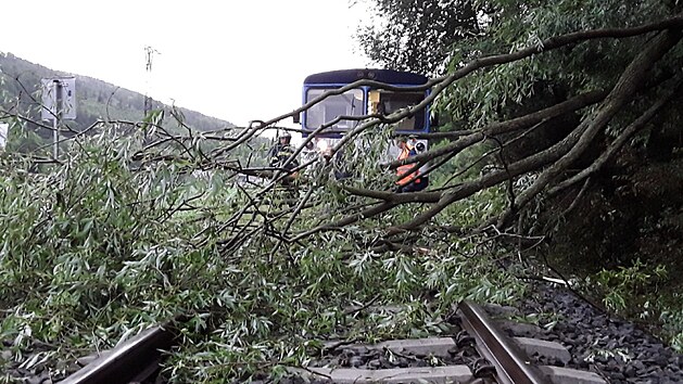 Hasiči v Olomouckém kraji kvůli noční bouřce zasahovali u desítek událostí. Na několika místech odstraňovali stromy popadané na železniční trať. (30. června 2021)