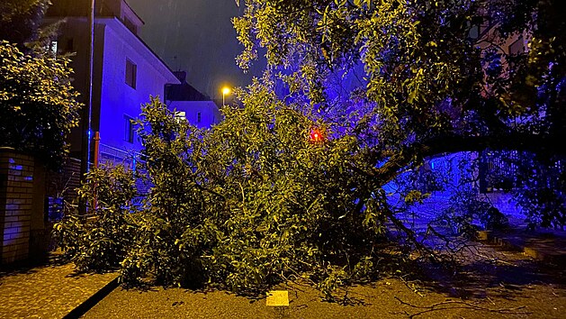 Pražští profesionální a dobrovolní hasiči v souvislosti s bouřkou zasahovali u čtyř desítek případů. Jednalo se hlavně o popadané stromy, na několika místech voda zatopila sklepy domů. (29. června 2021)