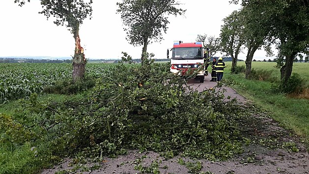 Hasii odstraovali pedevm stromy ze silnice. (30. ervna 2021)