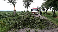 Hasii odstraovali pedevím stromy ze silnice. (30. ervna 2021)