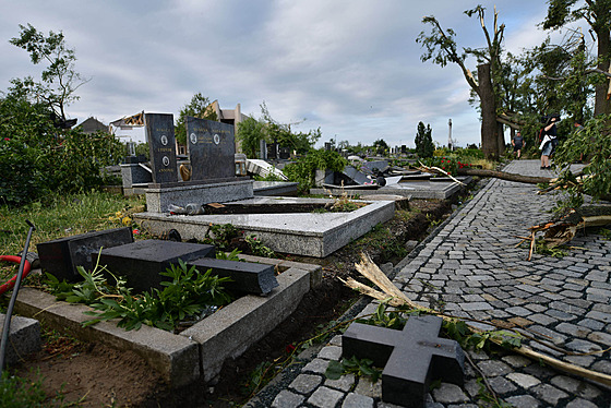 Stromy, které na hřbitově v Moravské Nové Vsi rostou od poloviny 19. století,...