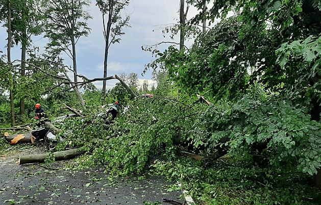 U íové na Písecku spadl pi tvrtení boui strom na auto, ve kterém zemeli...