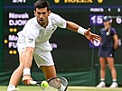 Novak Djokovi ve tvrtfinále Wimbledonu