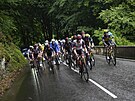Rui Costa (uprosted) táhne skupinu favorit bhem osmé etapy Tour de France.