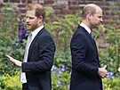 Prince Harry a princ William na odhalení sochy princezny Diany (Londýn, 1....