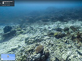 Nejvtí korálový útes