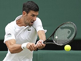 Novak Djokovič ve čtvrtfinále Wimbledonu
