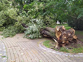 Následky bouřky v Českých Budějovicích (9. července 2021)
