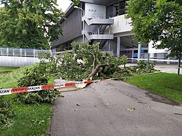 Následky bouřky v Českých Budějovicích (9. července 2021)